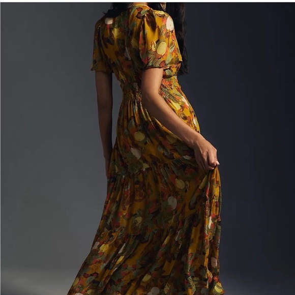 Anthropologie Somerset Maxi Floral Dress Chiffon Edition - Picture 2 of 7